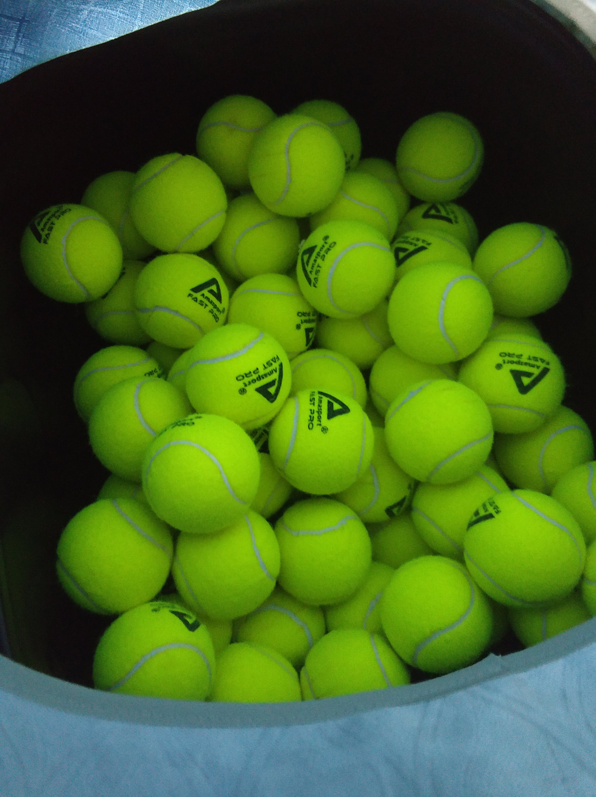 师教学与训 师教学与训