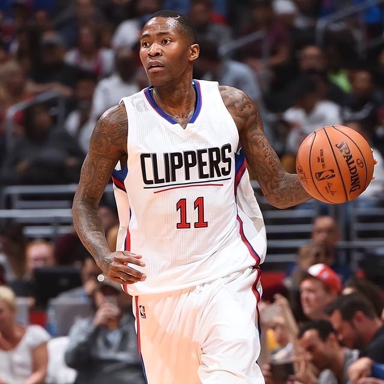 维奇所言 维奇所言